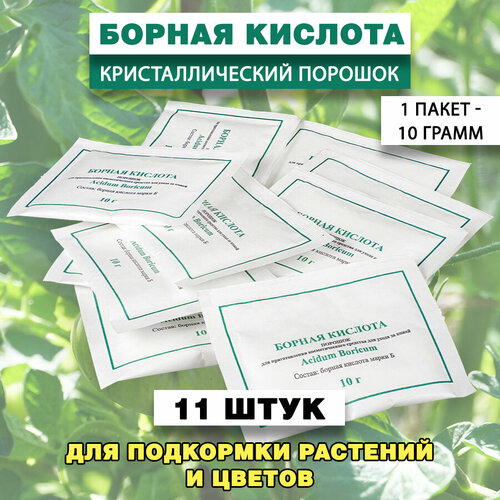 ���������� ������ ������� ������� � �������� 10 �� / ������ ������� ��� ��������� 11 ����