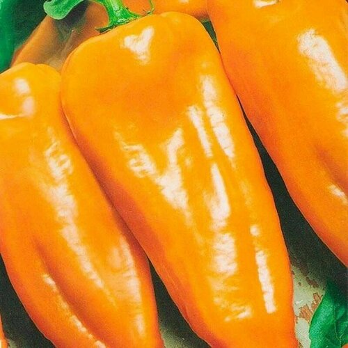 ���������� ������������� ������ ����� �������� ����������