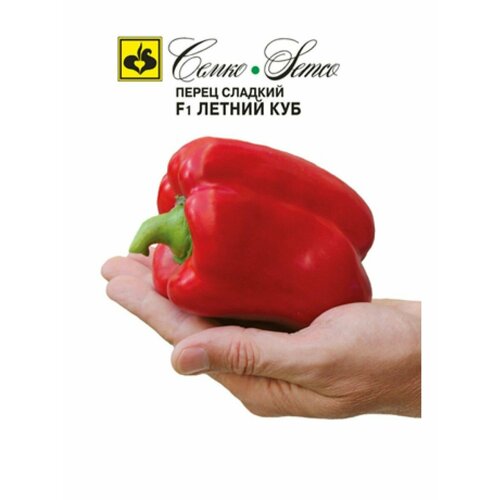 ���������� ����� ������ ��� 15�� �����