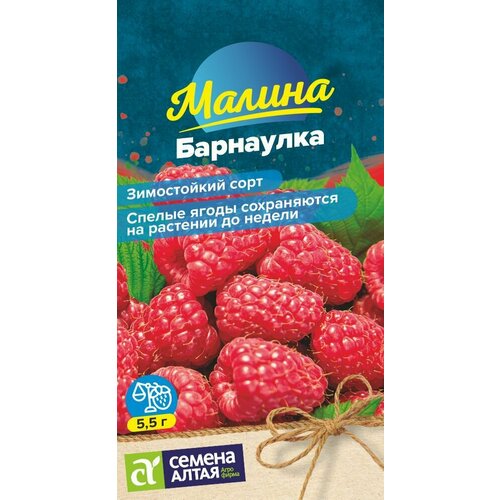 ���������� ������ ���������, 1 �����, ������ 0,3 ��, ������ �����