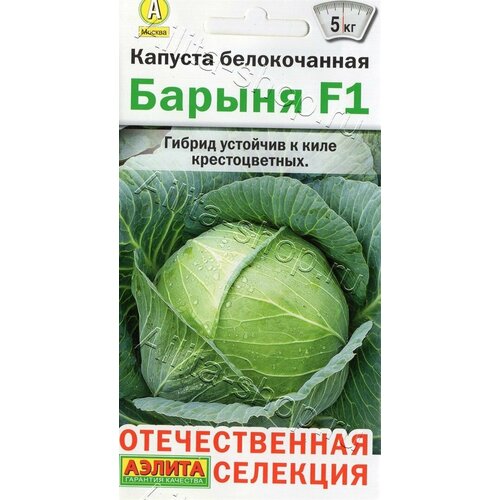 ���������� ������ ������� ������ 