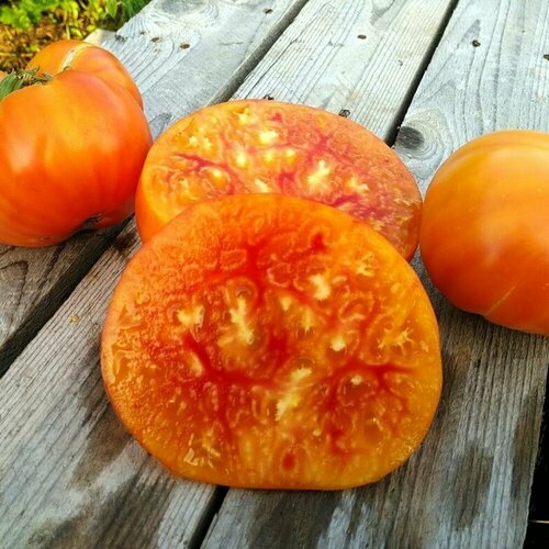 ���������� ������������� ������ ������ ��������� ������