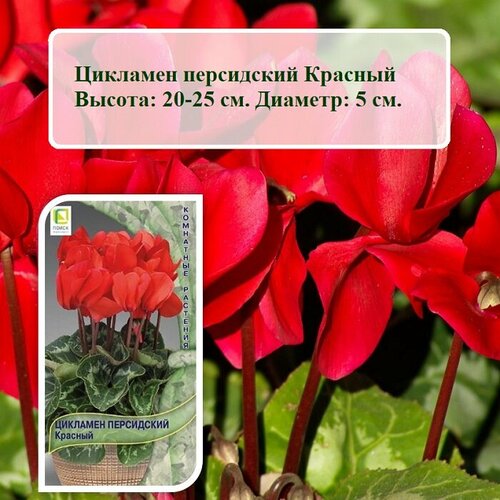 ���������� ������ ������ �������� ���������� ������� (2 ��. �����)