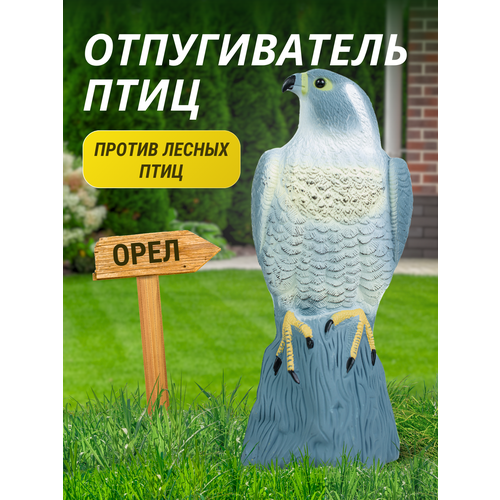 ���������� ������������ ���� ����