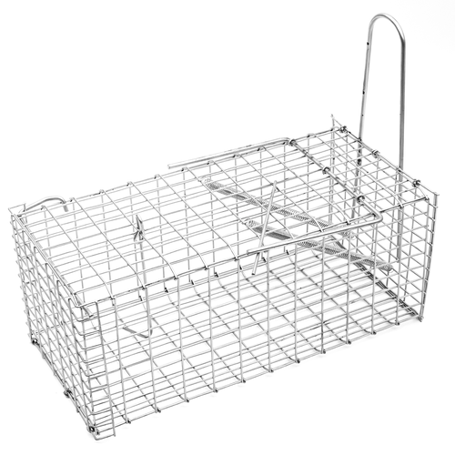 ���������� ���������� ��� ���� ��������, ������ �������, ������� ��� �����, ��������, ��������, ������� �������, �����, 1 �����