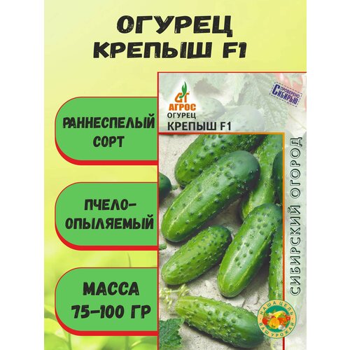 ���������� ������ ������ F1 10 �����, �����