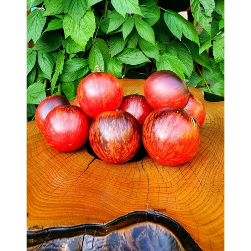 ���������� ������ ������ ������� ������ �� ���-���-��-��������� (Pommed'or De Saint Jean De Beauregard) / Seeds And Goods / � �������� zip-lock ��� ���������� 10 �����