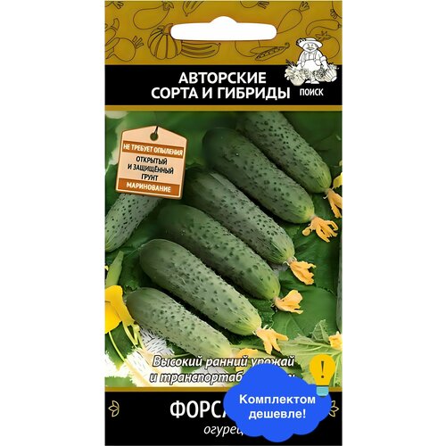 ���������� ������ ����� ������ ������ F1 12 ��.