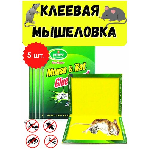       Mouse Trap,   5        , -, 