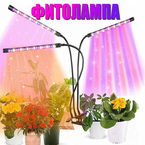 ���������� ��������� ��� �������� ������ ������ 3 �����, �������������� �� �������� � ��������