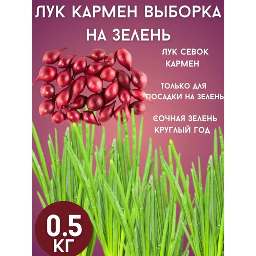 ���������� ��� ������ �� ������ 0,5��