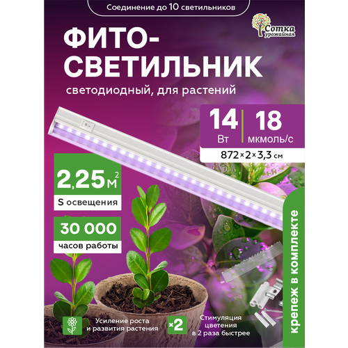 ���������� ��������� ��� �������� ��������������� 14 ��, ������ ��� ������� � �������� � ������������, ���������� ����