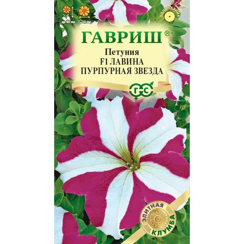 ���������� ������ ������� ������ ��������� ������ ��������� 7�� ��� 80�� (������)