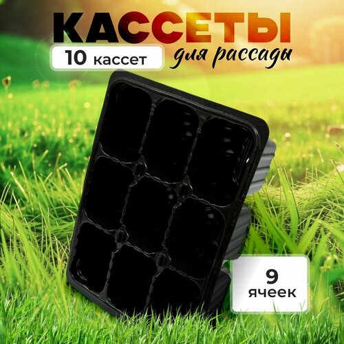 ���������� ������� ��� ������� - 9 �����, ����� 10 ����