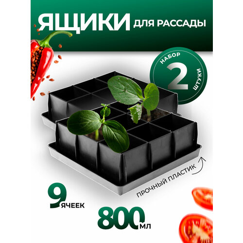 ���������� ���� ��� ������� � �������� ��������� 9 ������ 0,8� 2 ��