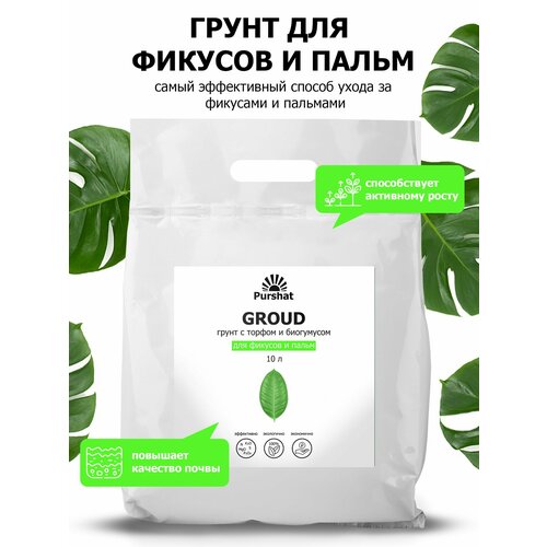 ���������� ����� (�����) ��� ������� � ����� ������. � ������ � ���������� ��� ��������� ����� � �������������� �������� (Purshat) 10 �