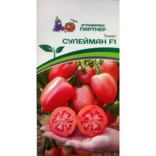 ���������� ������ ������ ��������������� ������������ 