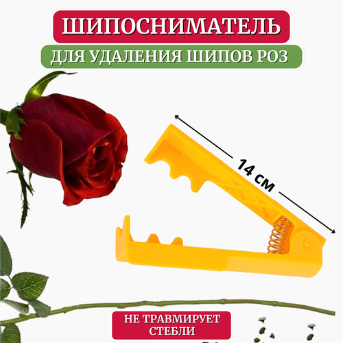 ���������� ������ LISTOK ��� �������� ����� ��� ������