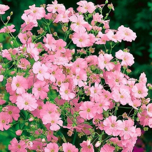 ���������� ��������� ������� �������, ���������� ��������� ������� � ��������������� ���������������� ��������, 20 �����