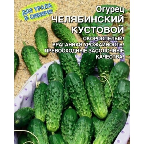 ���������� ������������� ������ ������ ����������� ��������