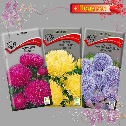 ���������� ����� ����� ������ �����, ��� ��������, ���������� �������, ���������� ���� ���������� 3��.