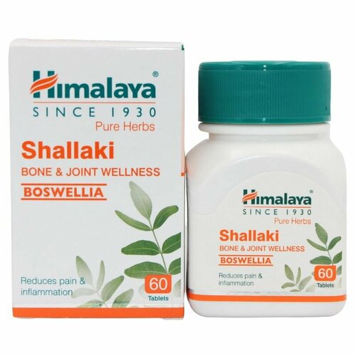  ()  / Shallaki Himalaya, 60    , -, 