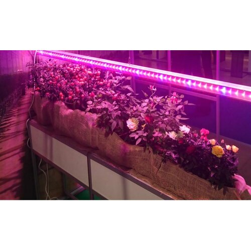 ���������� �������������� 30��