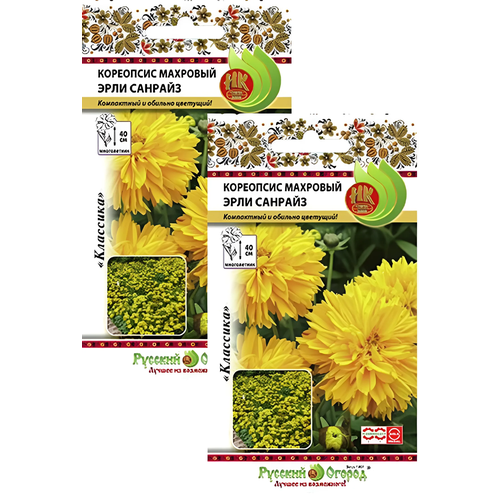 ���������� ��������� ���� ������� �������� (40 �����), 2 ������