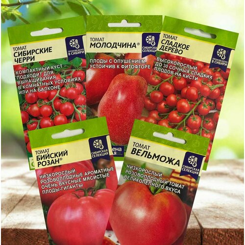 ���������� ������ ������ ���� �������� ������ ������� ����� 5 ��������