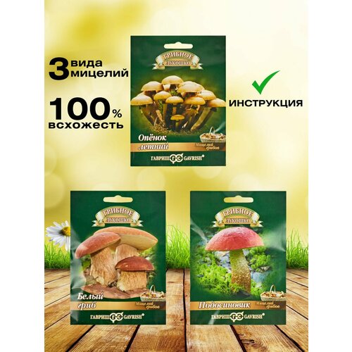 ���������� ����� ��� ����������� ������, ������ ������, �������, �������� ��������