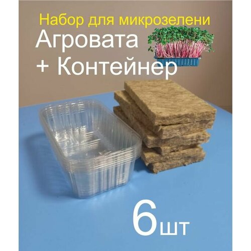 ���������� ����� �������� 6�� � ����� 6�� ��� ����������� ����������� .