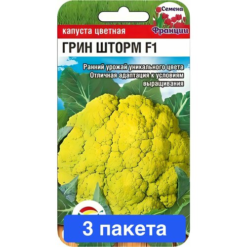 ���������� ������ ������ ��������� ��� 