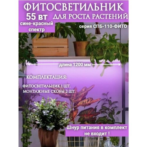 ���������� �������������� ������������ ���-110-���� ����-������� ������ 55�� 1200�� IN HOM