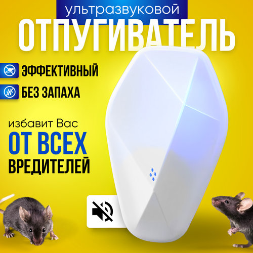 ���������� ������������ ����� � ���� ��������������, ������������ ��������