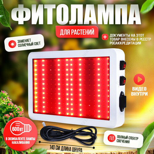 ���������� ��������� 600 ���� ��� ����������� ��������, �������, ��������� ������ - ������ ������