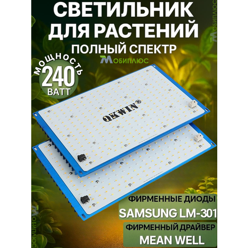 ���������� ���������� ��� ��������, ���������-quantum board/ ������� ����, 240 ����, Mean Well, ����� Samsung LM-301B, 288*2 ��.