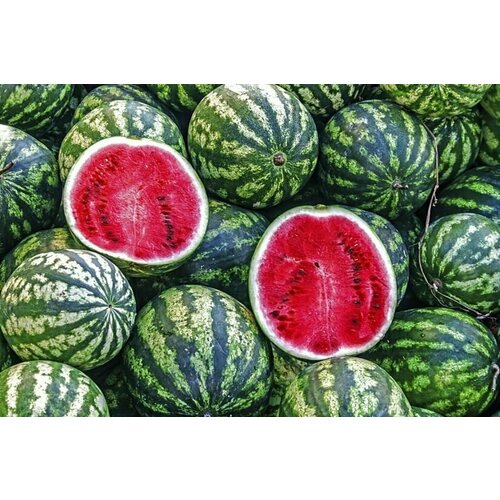 ���������� ������ ����� ������������