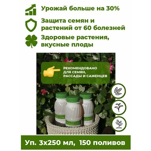 ���������� ���������� ���������� - ����������� ������ 3 ���. �� 250�� ����������� ��������� ��� �������� ������ ����. ����� �������� �� ����� 60 ��������, �������� ����������� �� 30%.