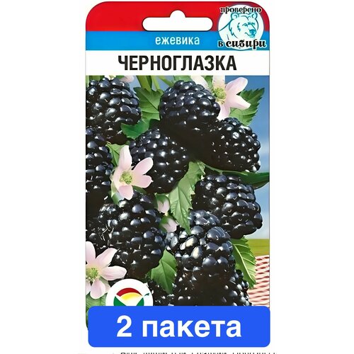 ���������� ������ ������ ��������� ��� 