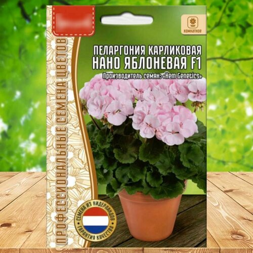 ���������� ������ ������ ���������� ���������� ���� ��������� F1 1 ��.