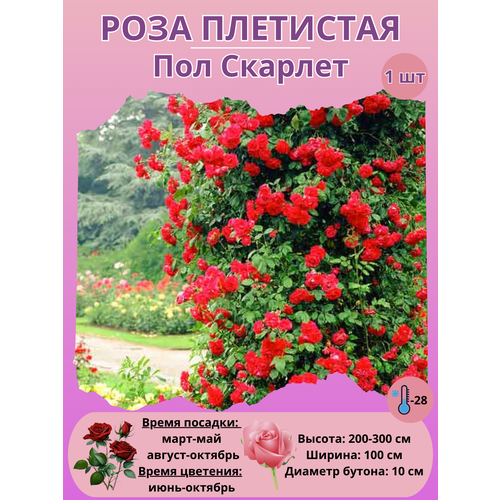 ���������� ���� ��������� ��� �������, ���������� �����