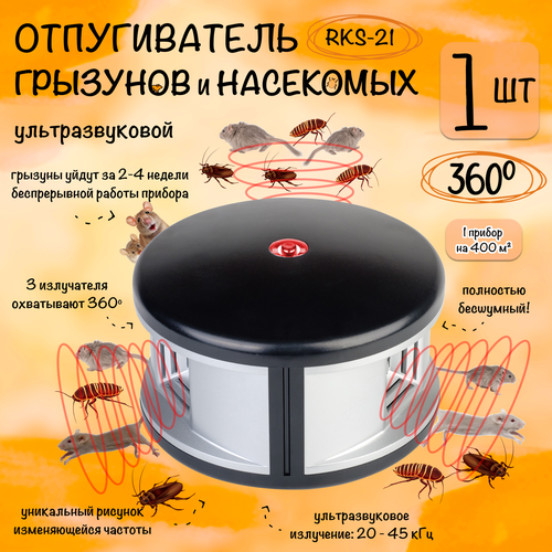 ���������� ������������ �����, ���� � ���������, ��������������, RKS-21, ������� �������, 1 �����