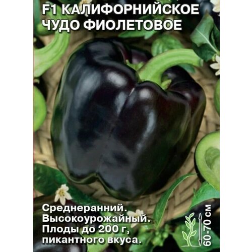 ���������� ������������� ������ ����� �������� F1 �������������� ���� ����������