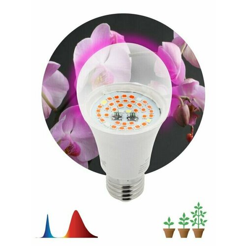 ���������� ��������� ��� �������� ������������ ��� FITO-14W-RB-E27 ������-������ ������� (�������) ����� �27 14�� 25,2 ������/� 440.660�� 1300� 230� (�0050602) (�������� 4 ��)