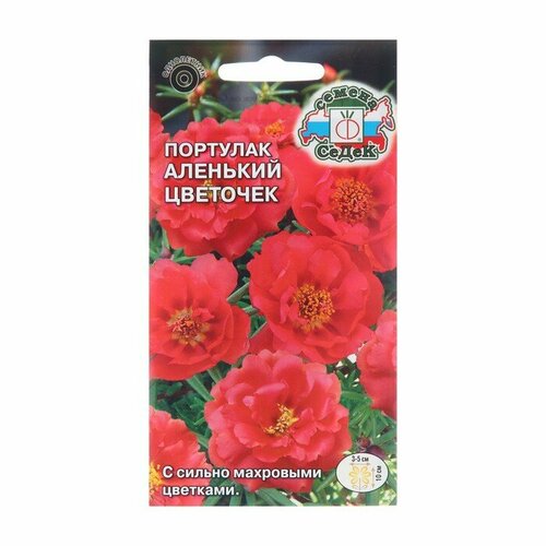 ���������� ������ ������ �������� 