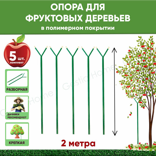 ���������� ����� ������� ��� ��������� �������� 2 �, 5 ��. Gestia Home