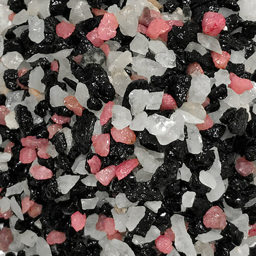 ���������� ����������� ����� ��� ��������, ����������� � ��������, Zoo One, ��������� ��������, 