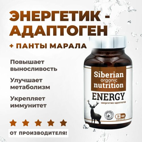 ���������� ���������-��������� �� ������ ���������� ������ , Energy, Siberian organic nutrition