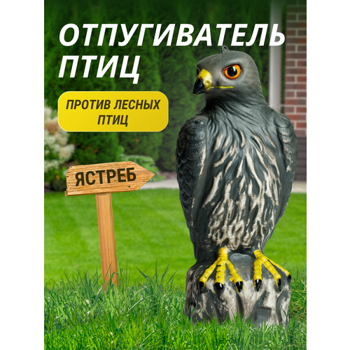 ���������� ������������ ���� ������