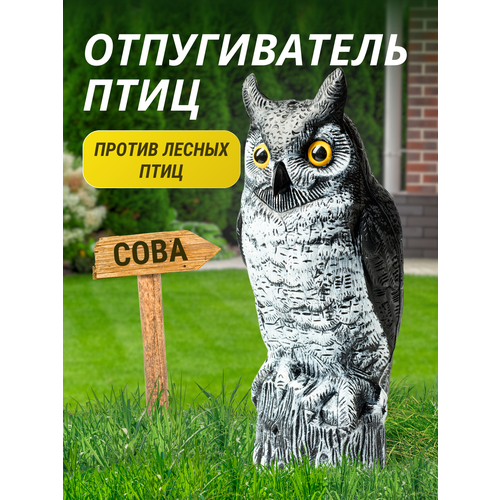 ���������� ������������ ���� ����